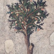 Musée de la Mosaïque (Mozaik Müzesi) Musée de la Mosaïque (Mozaik Müzesi)