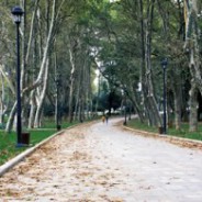 Parc Gülhane (Gülhane Parkı) Parc Gülhane (Gülhane Parkı)