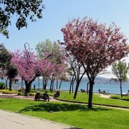 Parc de Findikli (Fındıklı Parkı) Parc de Findikli (Fındıklı Parkı)