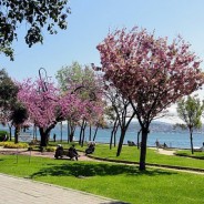 Parc de Findikli (Fındıklı Parkı)